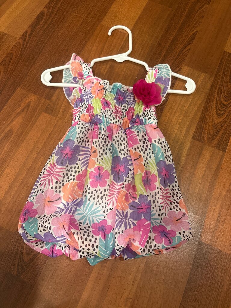 Colorful Floral Baby Dress with Ruffle Sleeves