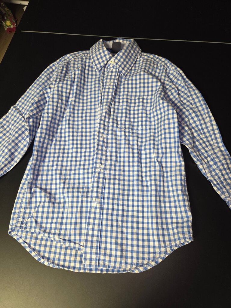 Blue and White Checked Button-Up Shirt