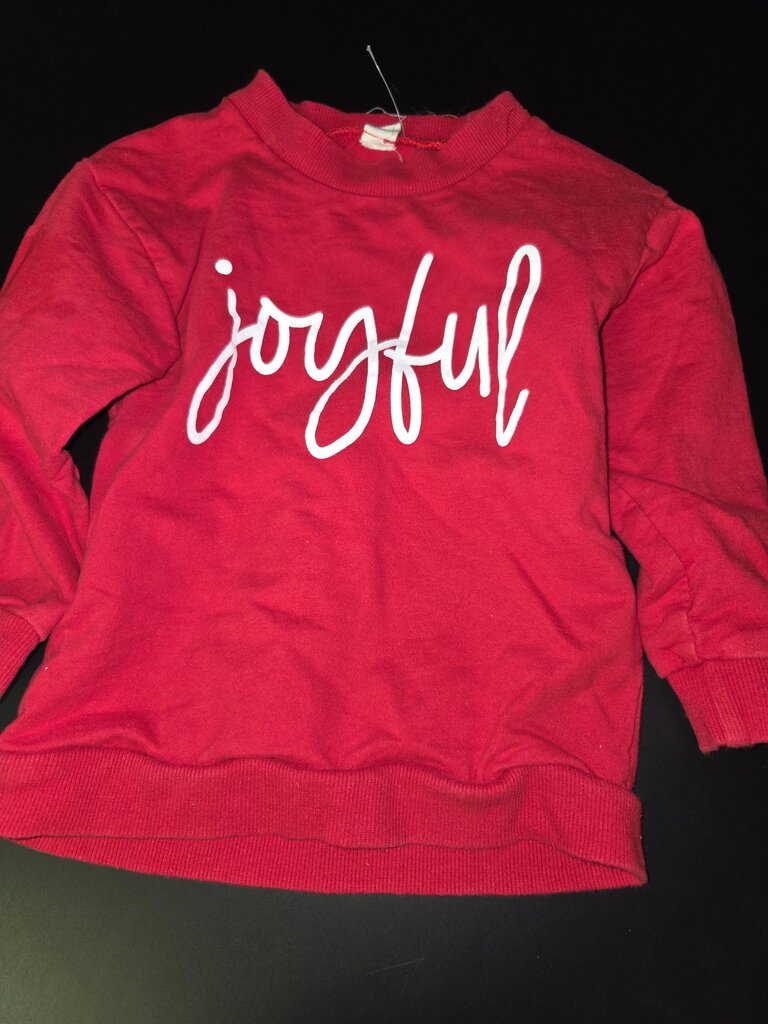 Joyful Red Sweatshirt