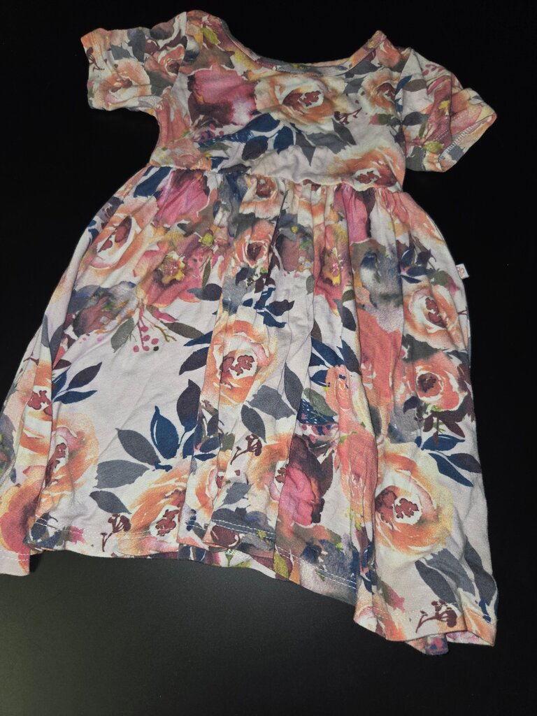 Floral Print Baby Dress