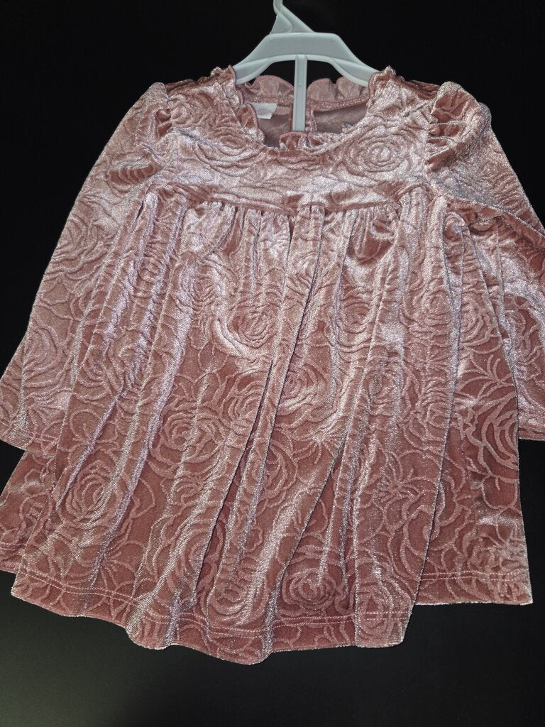 Girls Pink Velvet Dress with Floral Design