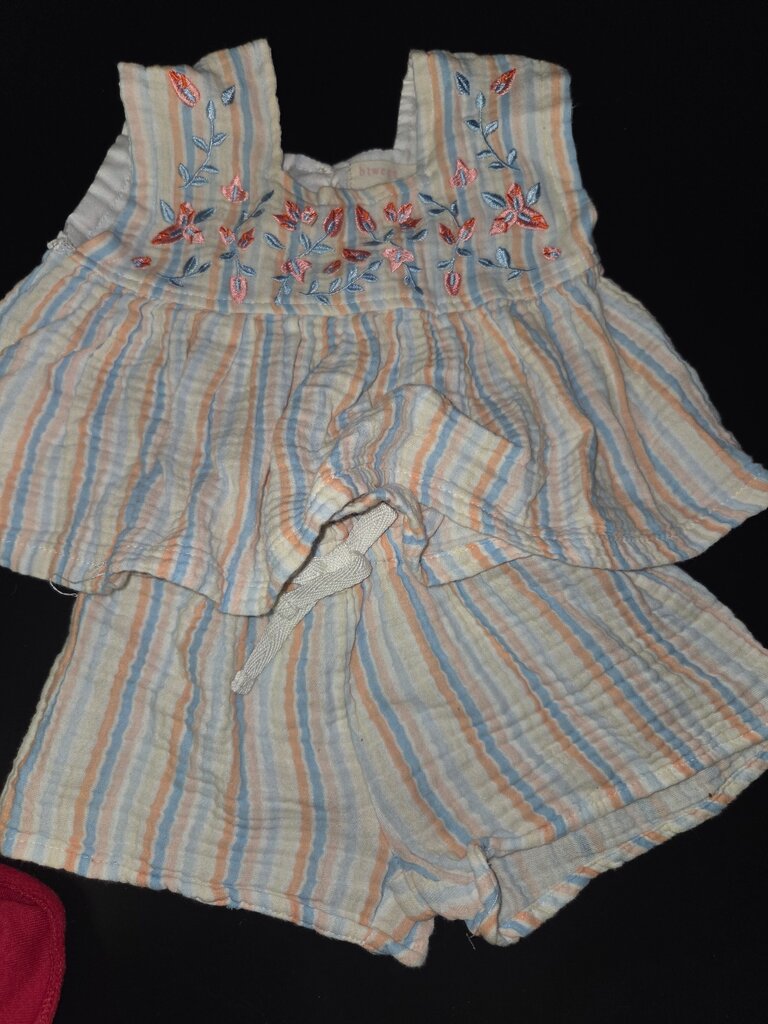Floral Embroidered Striped Baby Outfit