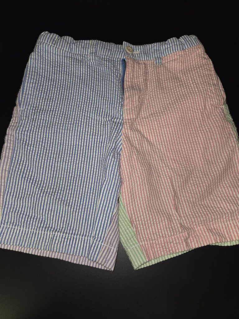 Striped Multi-Color Shorts