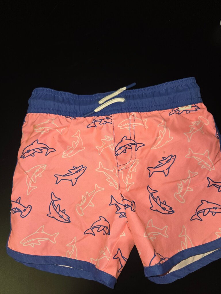 Boys Shark Print Swim Trunks