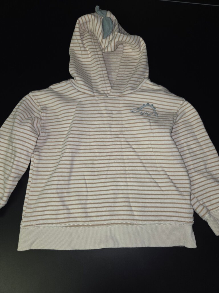 Striped Baby Hoodie