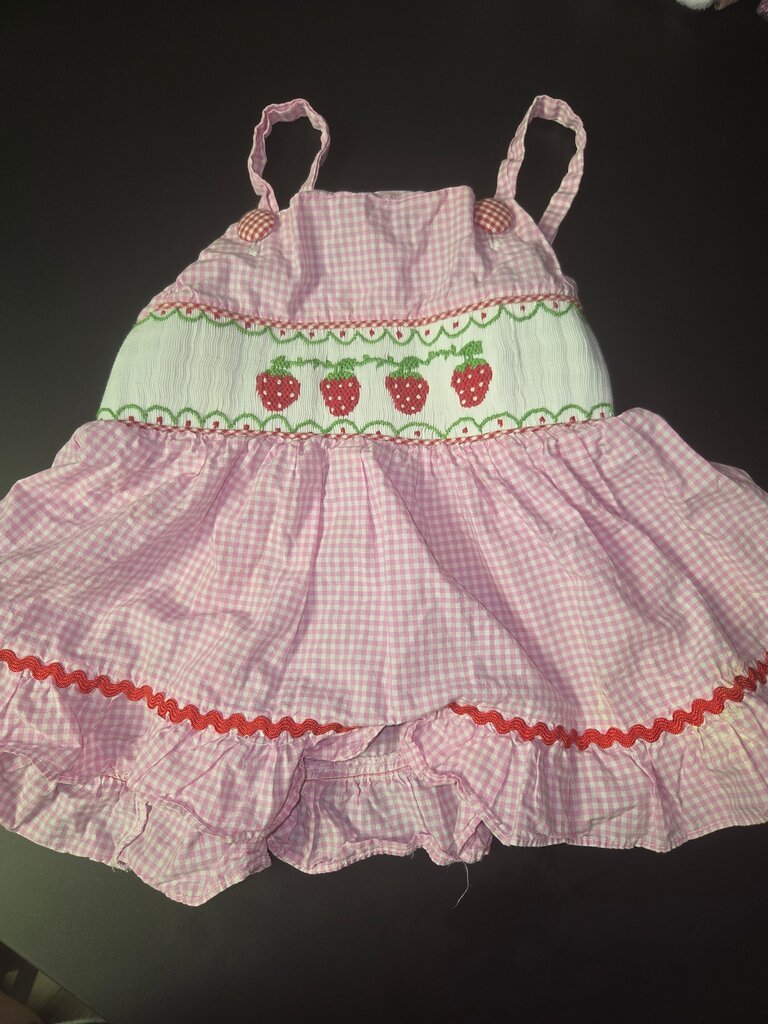 Pink Strawberry Gingham Dress